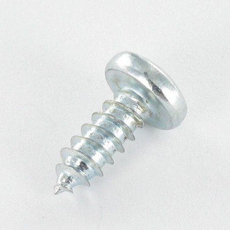 1 x Vis tôle tête cylindrique bombée large Phillips n° 2 4.2X16 Acier zingué