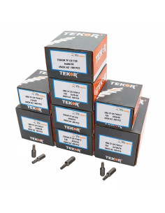 TEKOR PACK PRO 1800 Vis Tête fraisée Cranté TORX Inox A2