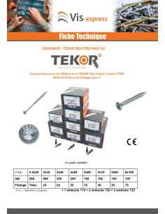 TEKOR PACK PRO 1800 Vis Tête fraisée Cranté TORX Inox A2 2