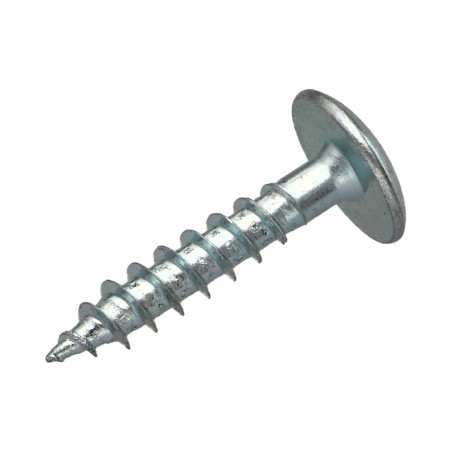 1 x Vis Penture 6X30 Filetage partiel TORX T30 Acier zingué