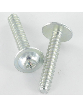 Vis pvc Tête ronde large 5X30 TORX T25 Acier zingué