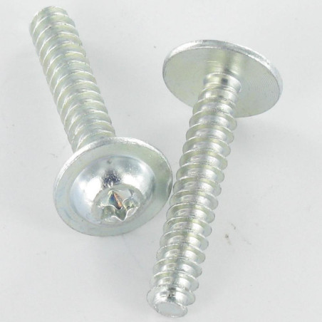 1 x Vis pvc Tête ronde large 5X30 TORX T25 Acier zingué