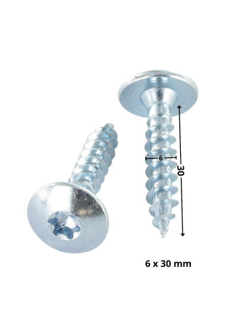 Vis Penture 6X30 Filetage partiel TORX T30 Acier zingué