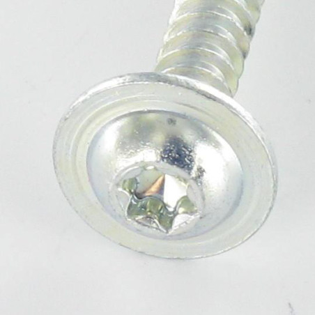1 x Vis pvc Tête ronde large 5X30 TORX T25 Acier zingué