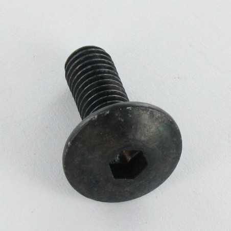 1 x Vis Poelier Clé de 4 HC4 M6X12 Cranté SOUS Tête Acier zingué noir