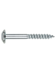 Vis Penture Inviolable 2 pièces TORX T40 6X60 Acier zingué