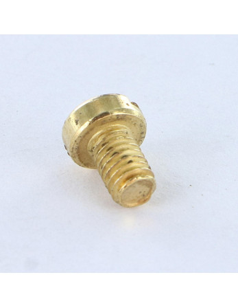 Vis métaux Tête cylindrique TC Fendue M4X6 Acier laitonne