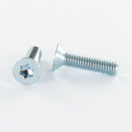 1 x Vis métaux Tête fraisée TORX T10 M3X10 Classe 4.8 Acier zingué microvis