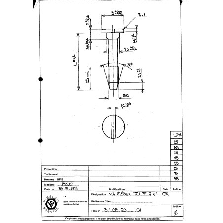 1 x Vis métaux Tête cylindrique large TCL Hexagonal creux M6X55 Cranté Acier brut