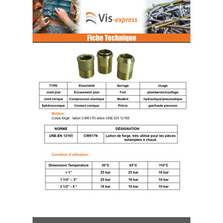 1 x Raccord union coudé spheroconique 20x27 (3/4") Mâle/Femelle Laiton Figure 98