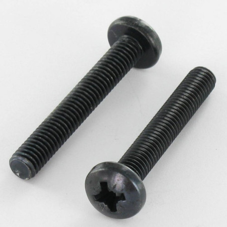 1 x Vis métaux tête cylindrique bombée large Pozi N°2 M5X12 Acier zingué noir