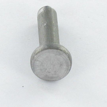 1 x Rivet à frapper Tête plate 6X20 ALUA5