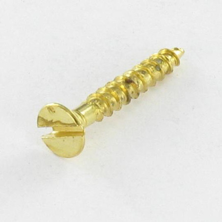 1 x VBA Vis bois agglo Tête fraisée Fendue 3X20 Acier laitonne microvis