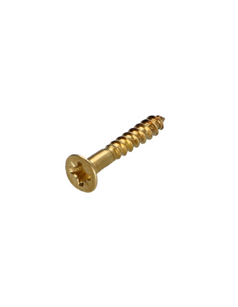 Vis bois Tête fraisée Pozi N°1 2.5X16 Acier laitonne microvis