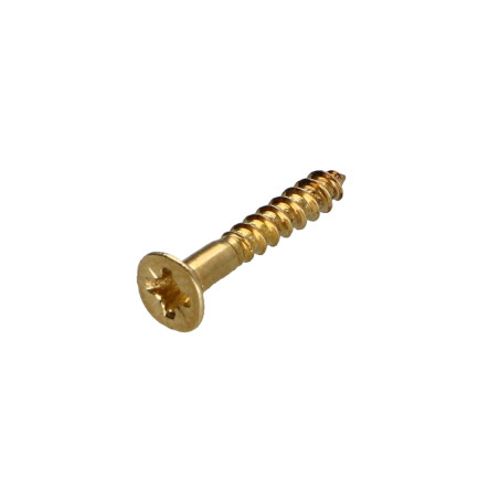 1 x Vis bois Tête fraisée Pozi N°1 2.5X16 Acier laitonne microvis