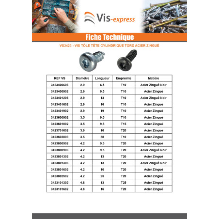 1 x Vis tôle Tête cylindrique TC TORX T10 2.9X9.5 Acier zingué