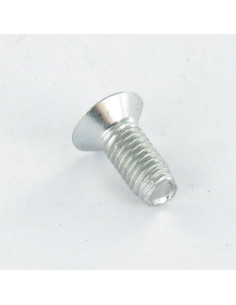 Vis autotaraudeuse Tête fraisée M4X6 TORX T20 Acier zingué 2