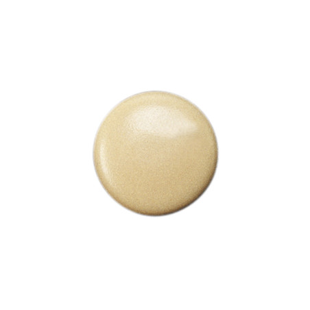 1 x Cache tête de vis TORX T30 Diamètre de tête: 17 Polyéthylène OCRE