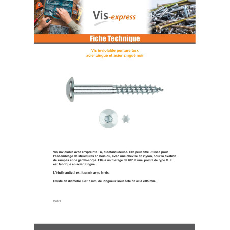 1 x Vis Penture Inviolable 2 pièces TORX T40 6X50 Acier zingué