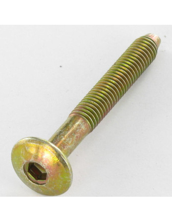 Vis Poelier Hexagonale creuse M6X47 Filetée sur 32 Bout conique Bichromaté