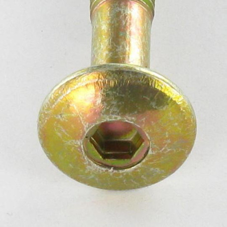 1 x Vis Poelier Hexagonale creuse M6X47 Filetée sur 32 Bout conique Bichromaté