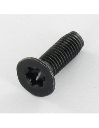 Vis autotaraudeuse Tête fraisée M5X16 TORX T25 Acier zingué noir