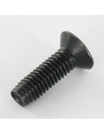Vis autotaraudeuse Tête fraisée M5X16 TORX T25 Acier zingué noir