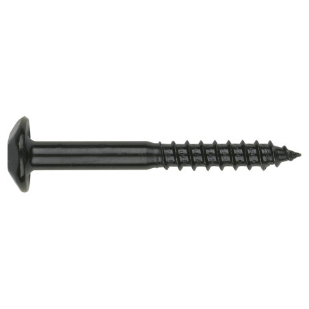 1 x Vis Penture Inviolable 2 pièces TORX T40 6X40 Acier zingué noir