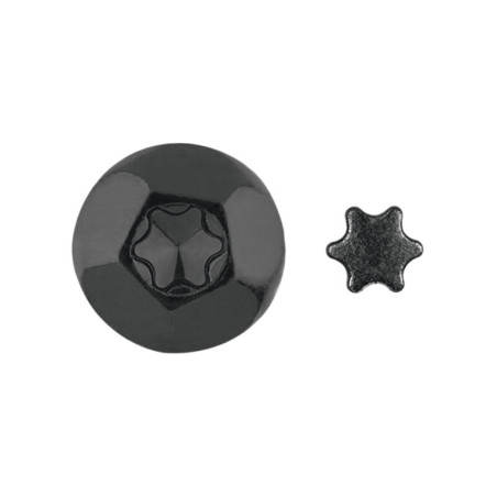 1 x Vis Penture Inviolable 2 pièces TORX T40 6X40 Acier zingué noir