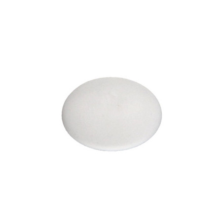 1 x Cache tête de vis Polyéthylène Pozi N°2 Diamètre de tête: 12 RAL9010 blanc pur