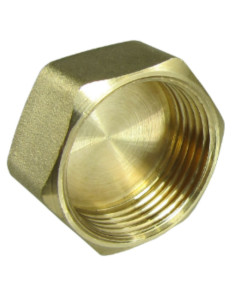 Bouchon femelle Figure 300 26x34 (1") Laiton 2