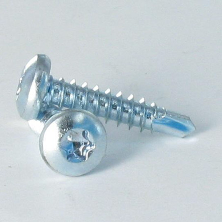 1 x Vis autoperceuse Tête cylindrique bombée TCB 6.3X19 TORX T30 Acier zingué