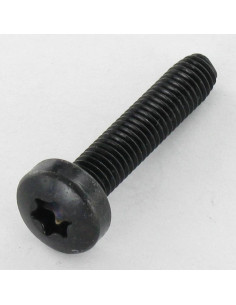 Vis autotaraudeuse tête cylindrique bombée large M6X30...
