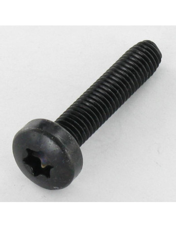 Vis autotaraudeuse tête cylindrique bombée large M6X30 T30ZNN480HBSSRR