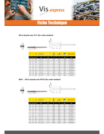 Rivet Etanche Etanche GOSTOP Aluminium Tige acier Tête plate 4X10