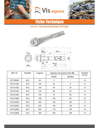 Goujon Ancrage R-XPTIIIZP M12X80 Acier zingué RAWLPLUG