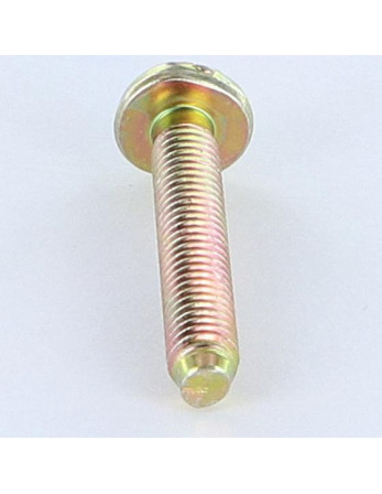 Vis métaux Tête cylindrique large TCL Fendue M6X35 B.P. Bichromaté