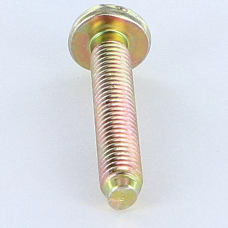 1 x Vis métaux Tête cylindrique large TCL Fendue M6X35 B.P. Bichromaté