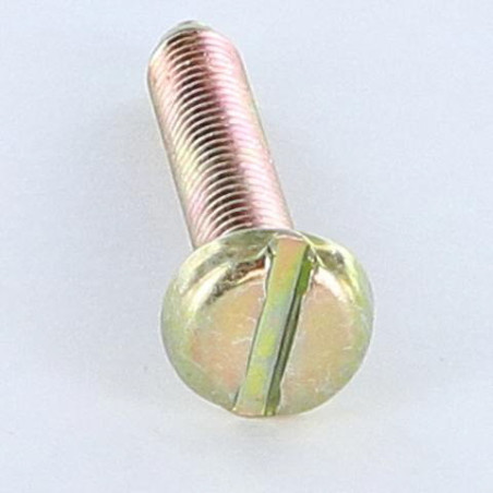 1 x Vis métaux Tête cylindrique large TCL Fendue M6X35 B.P. Bichromaté