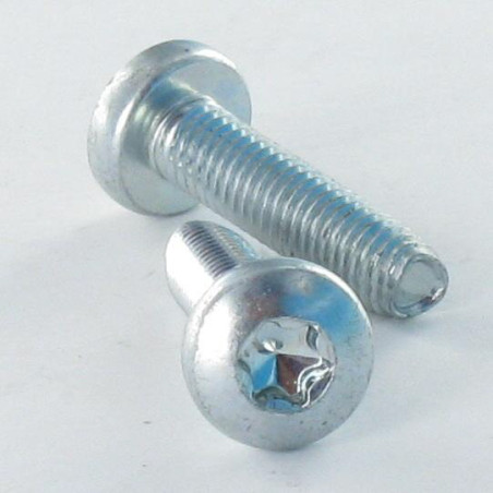 1 x Vis autotaraudeuse tête cylindrique bombée large M5X8 TORX T25 Acier zingué