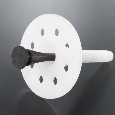 1 x Cheville d'isolation 10X70 et Clou SYNTHETIQ