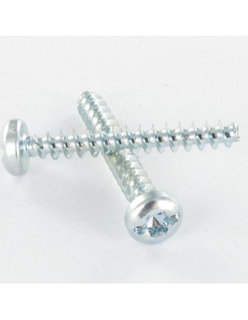 Vis pvc Tête cylindrique TC TORX T25 /FEND 5X12 Filet 30 Acier zingué