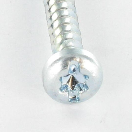 1 x Vis pvc Tête cylindrique TC TORX T25 /FEND 5X12 Filet 30 Acier zingué