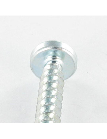 Vis pvc Tête cylindrique TC TORX T25 /FEND 5X12 Filet 30 Acier zingué