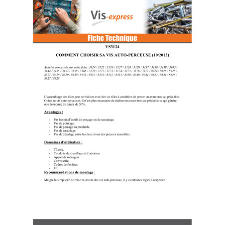 1 x Vis autoperceuse Tête fraisée 4.2X19 Carré phillips 2 Acier zingué