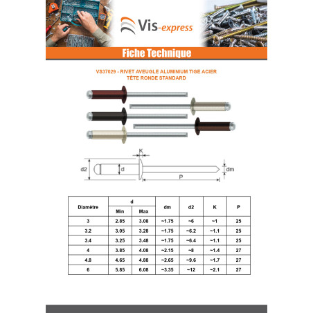 1 x Rivet aveugle Aluminium Tige acier 3.2X10 Epaisseur de serrage 5 à 7 Tête Ronde Standard RAL8017 brun chocolat