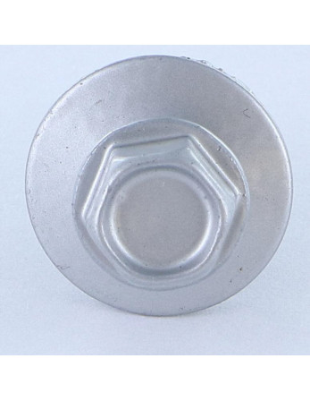 Vis autoperceuse Tête hexagonale TH 5.5X25 Rondelle d'étanchéite EPDM Acier zingué RAL9006 aluminium blanc