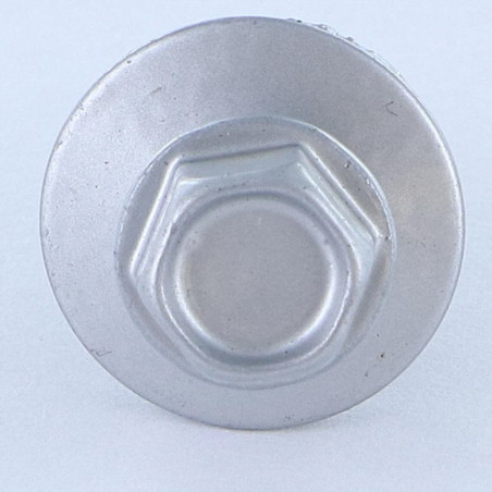 1 x Vis autoperceuse Tête hexagonale TH 5.5X25 Rondelle d'étanchéite EPDM Acier zingué RAL9006 aluminium blanc