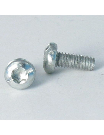 Vis autotaraudeuse Tête cylindrique TC TORX Filetée sur Fendue 5X12 Cranté Acier zingué