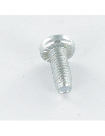 Vis autotaraudeuse Tête cylindrique TC TORX Filetée sur Fendue 5X12 Cranté Acier zingué